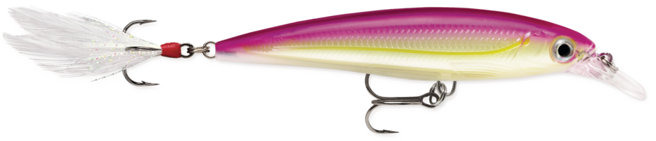 Rapala X-Rap XR10 Purple Ghost