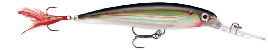 Rapala X-Rap® Deep Silver