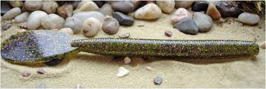 Garneau Baits The Em Gem Salt Impregnated 8ct