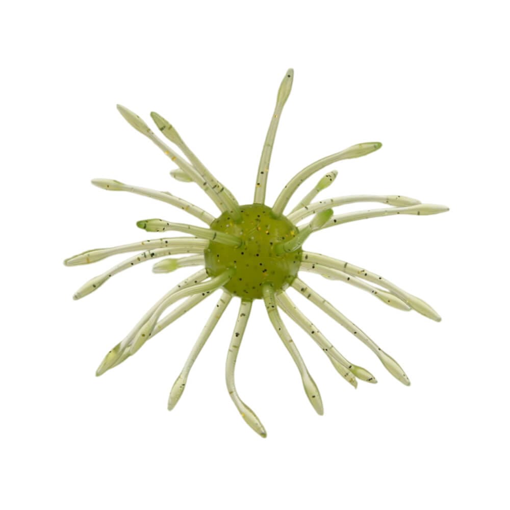 Yamamoto Uni Urchin