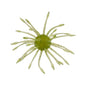 Yamamoto Uni Urchin