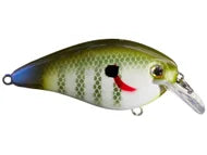 Strike King KVD Square Bill 1.5  2-1/4" 3/8oz 3-6ft Depth