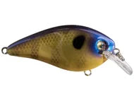 Strike King KVD Square Bill 1.5  2-1/4" 3/8oz 3-6ft Depth
