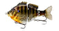 Fish Lab Pro Bio Gill Wake Bait 4"