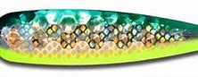 Warrior Elite Standard HOLO Grn/Yel Dolphin Gold ST043