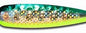 Warrior Elite Standard HOLO Grn/Yel Dolphin Gold ST043