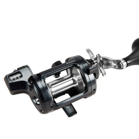 Daiwa Saltist STTLW Series Line Counter Reels – Tangled Tackle Co