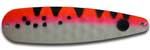 Warrior Elite Hot Glow Standard HG Tiger Shark ST212