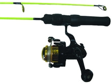 24” Neon Ice ComboIce Combo