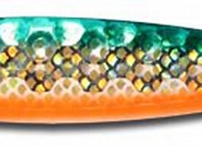 Warrior Elite Standard HOLO Miami Dolphin Gold ST045
