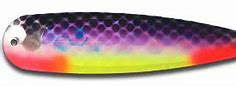 Warrior Elite Standard UV Space Cadet ST183N